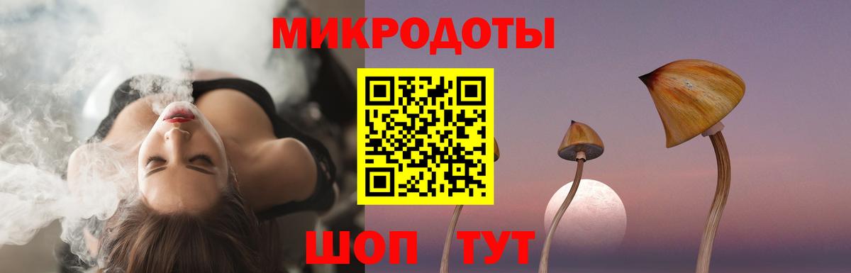 Псилоцибиновые грибы прущие грибы Елец